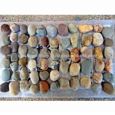 COLOR BEACH PEBBLE COBBLE